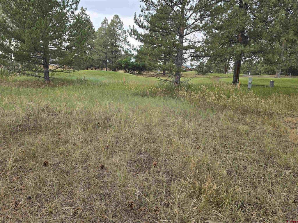 94 Pines Club Place Pagosa Springs CO 81147