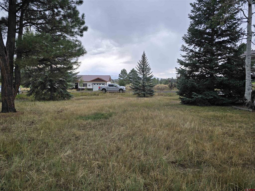 94 Pines Club Place Pagosa Springs CO 81147