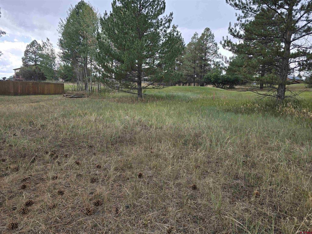 94 Pines Club Place Pagosa Springs CO 81147