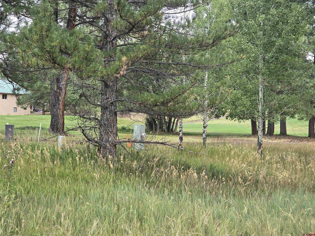 94 Pines Club Place Pagosa Springs CO 81147