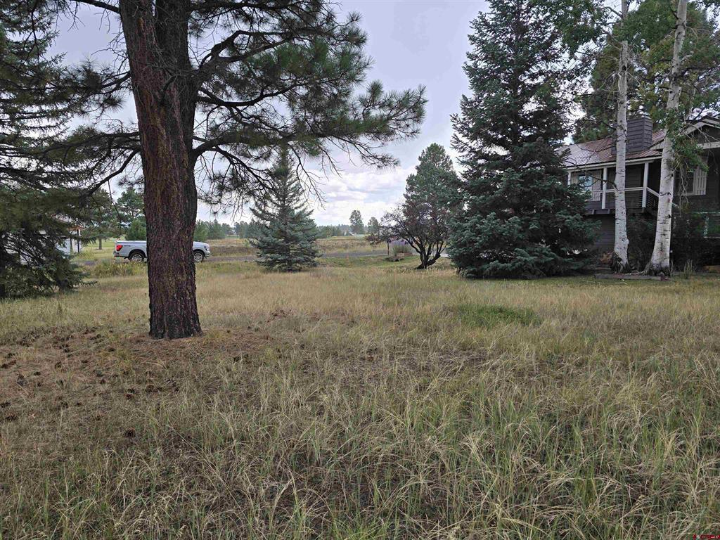 94 Pines Club Place Pagosa Springs CO 81147
