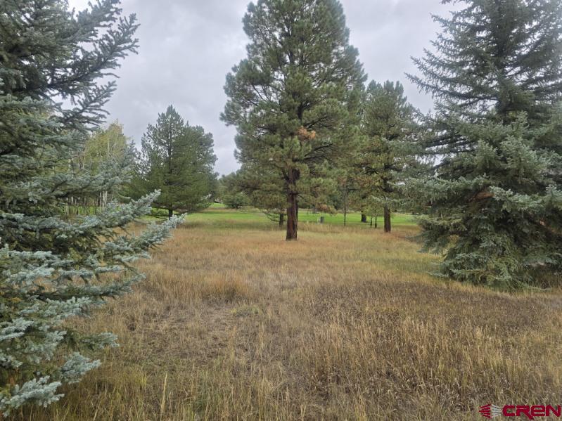 94 Pines Club Place Pagosa Springs CO 81147