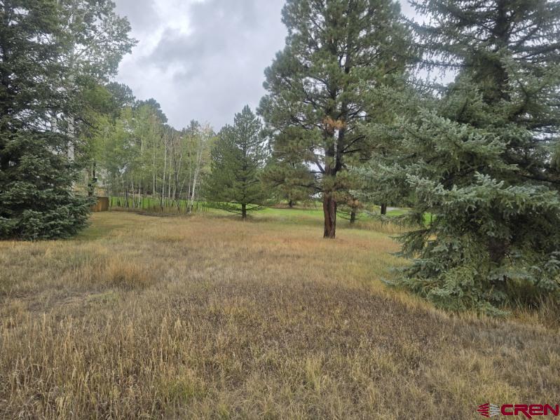94 Pines Club Place Pagosa Springs CO 81147
