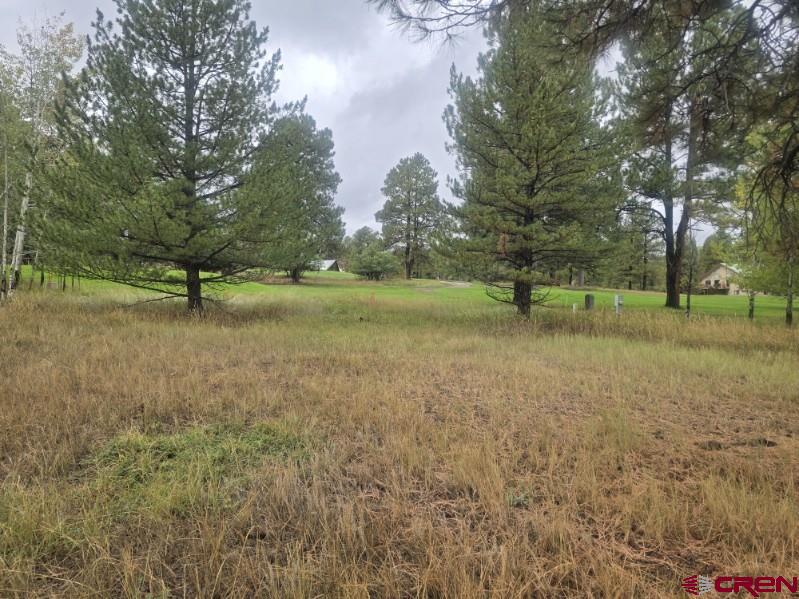 94 Pines Club Place Pagosa Springs CO 81147