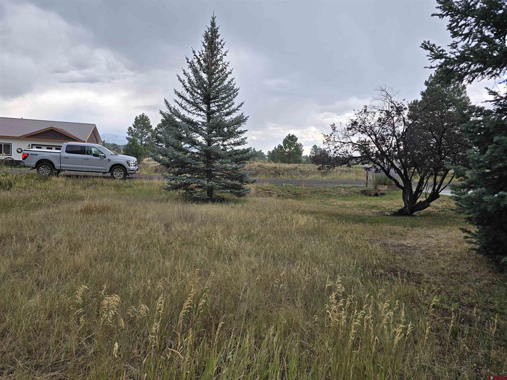 94 Pines Club Place Pagosa Springs CO 81147