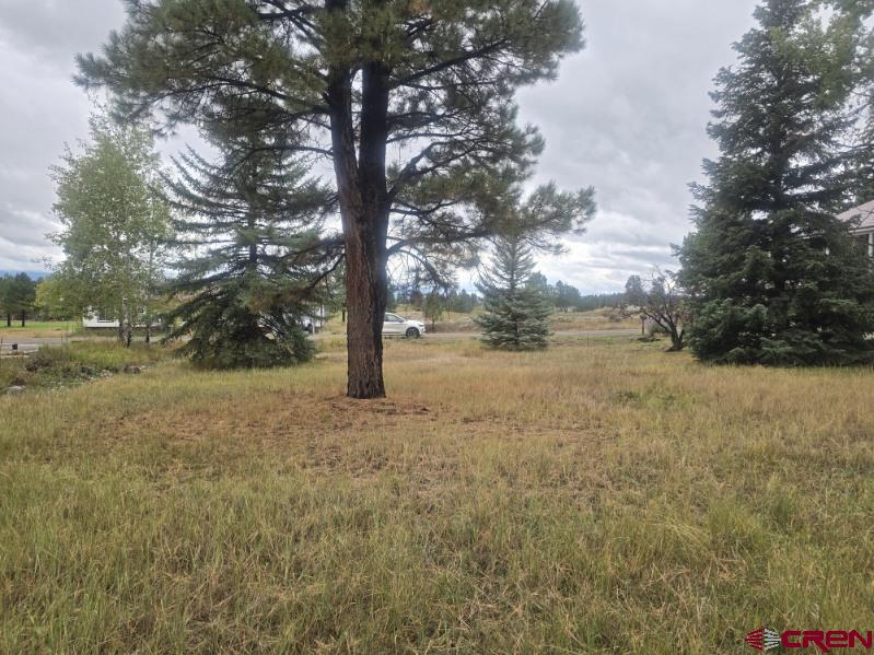 94 Pines Club Place Pagosa Springs CO 81147