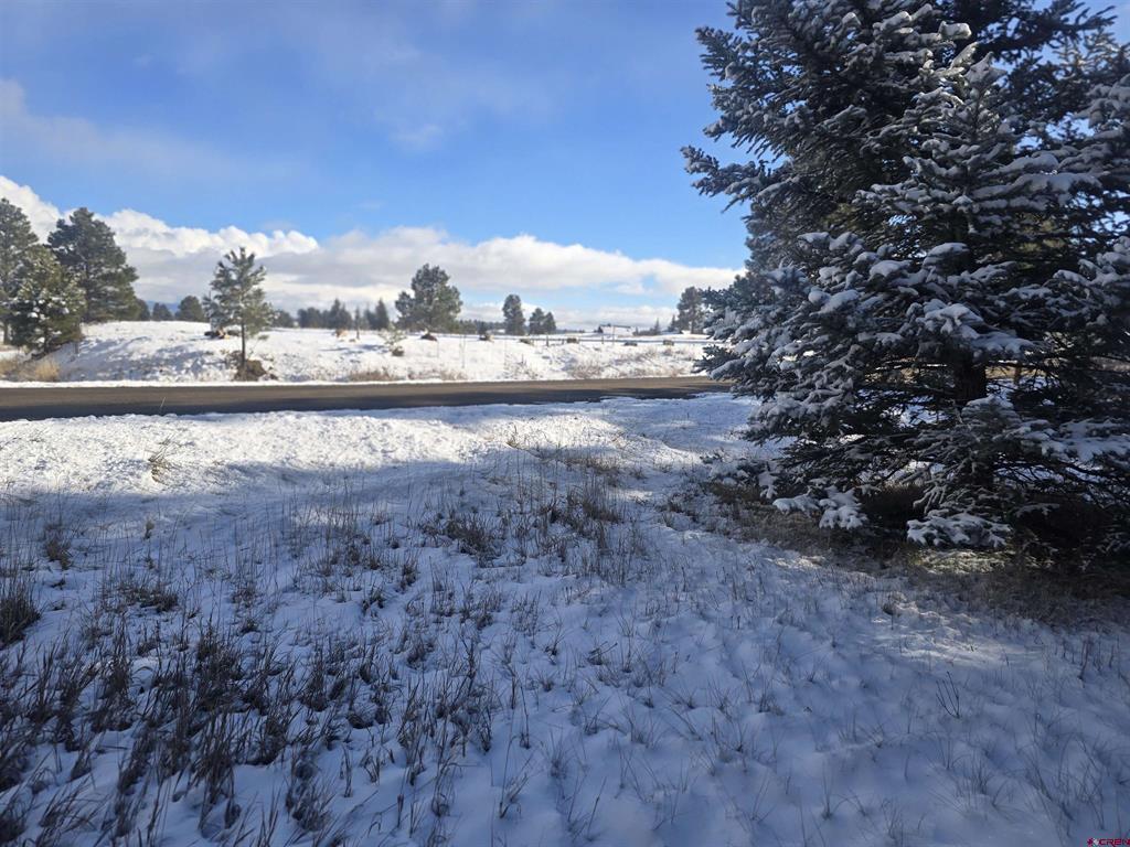 94 Pines Club Place Pagosa Springs CO 81147