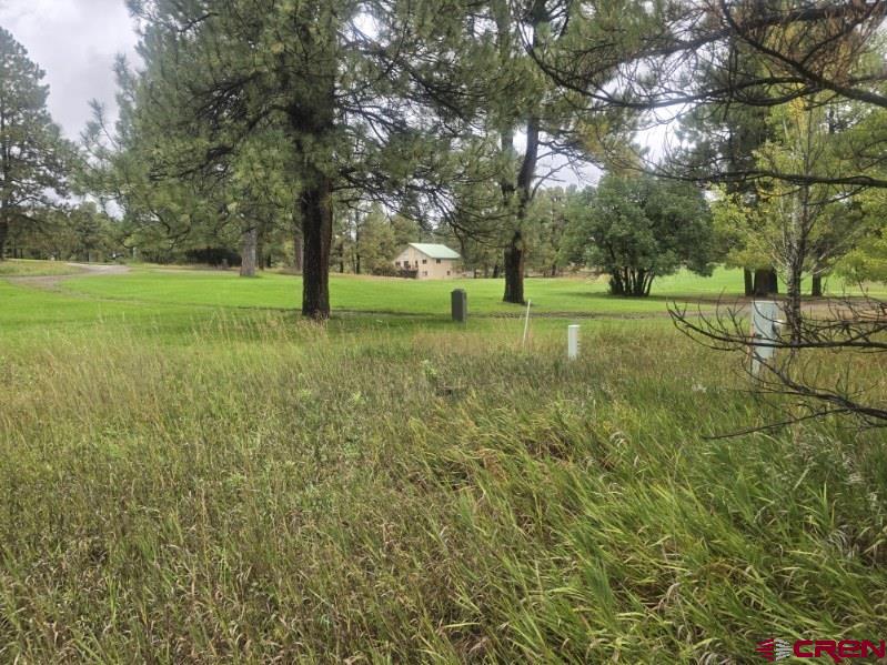 94 Pines Club Place Pagosa Springs CO 81147