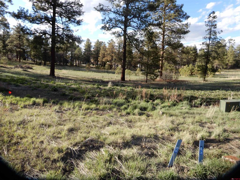 322 Harman Park Drive Pagosa Springs CO 81147