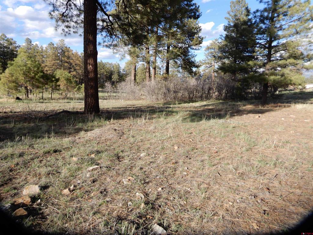 322 Harman Park Drive Pagosa Springs CO 81147