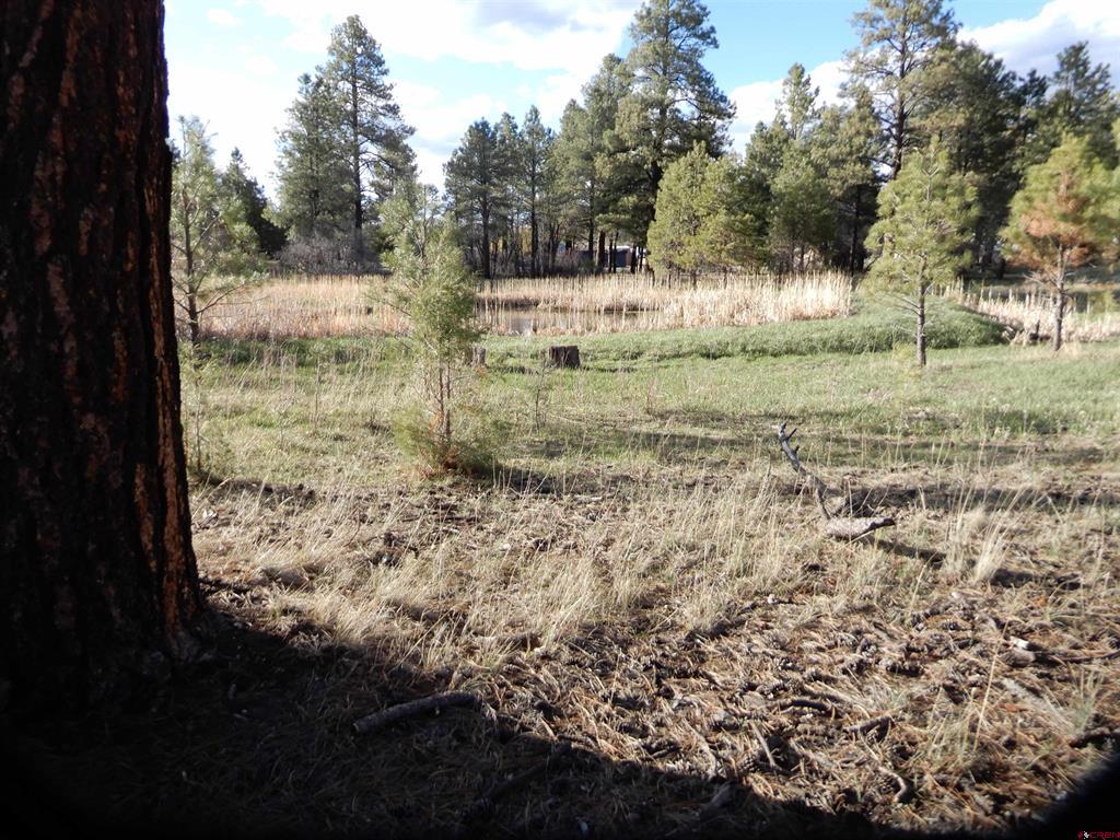 322 Harman Park Drive Pagosa Springs CO 81147