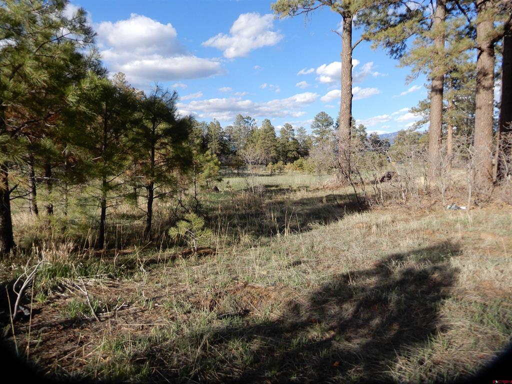 322 Harman Park Drive Pagosa Springs CO 81147
