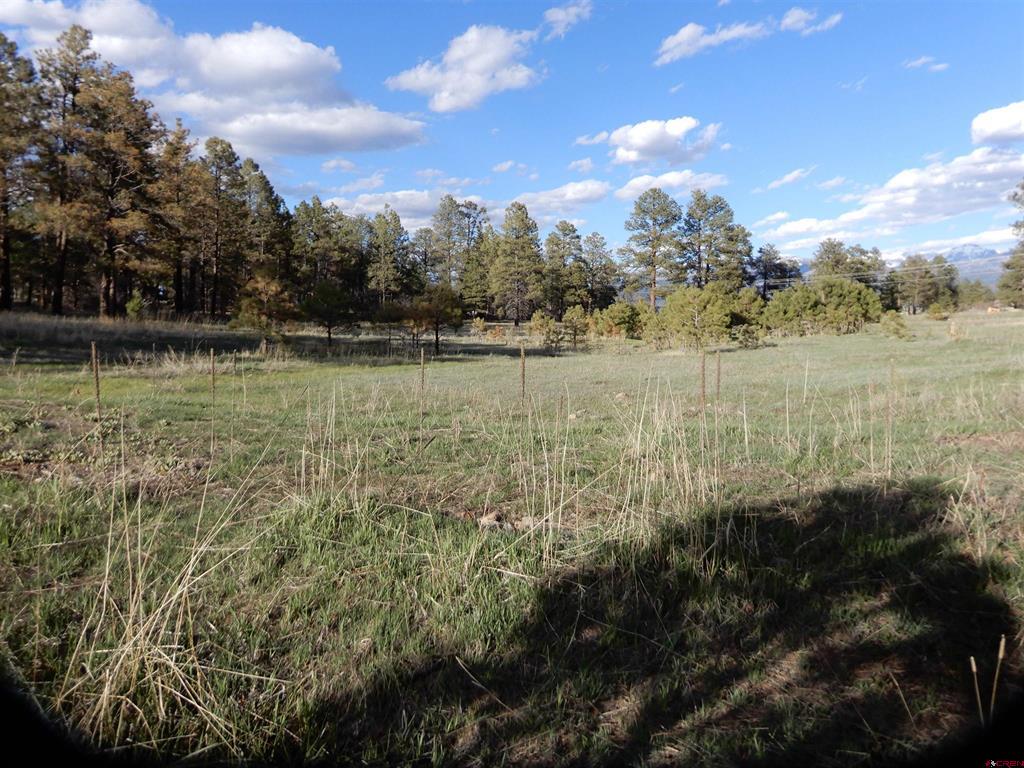 322 Harman Park Drive Pagosa Springs CO 81147