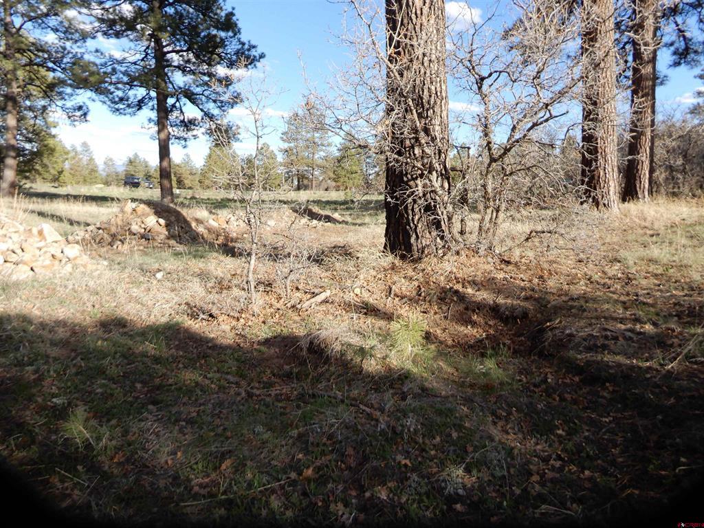 322 Harman Park Drive Pagosa Springs CO 81147