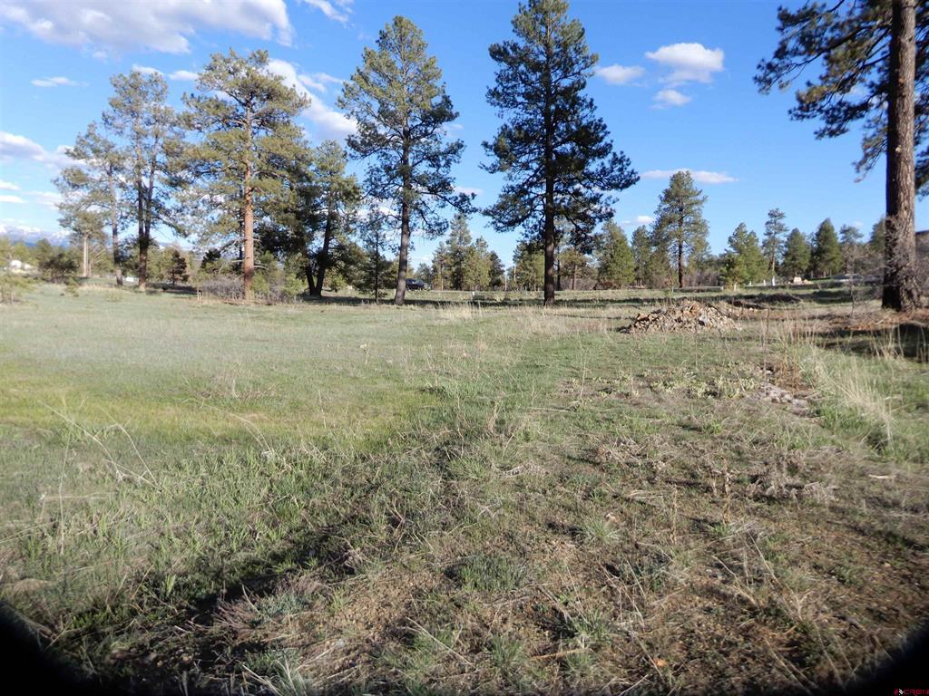 322 Harman Park Drive Pagosa Springs CO 81147