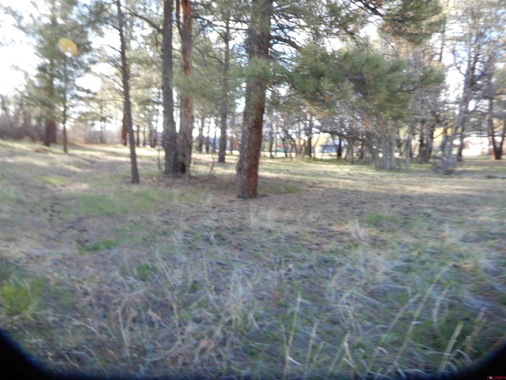 322 Harman Park Drive Pagosa Springs CO 81147