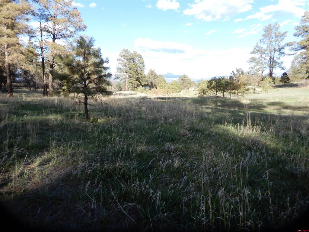 322 Harman Park Drive Pagosa Springs CO 81147