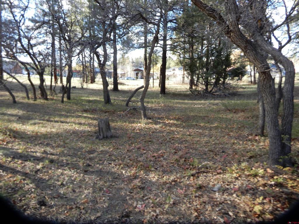 322 Harman Park Drive Pagosa Springs CO 81147