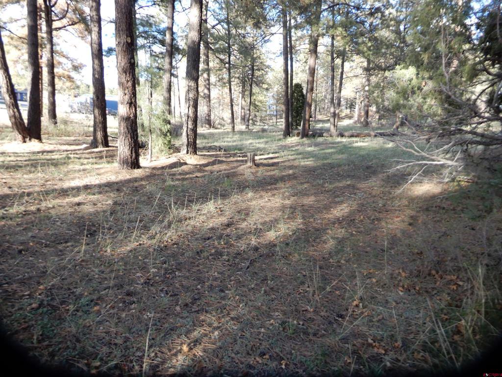 322 Harman Park Drive Pagosa Springs CO 81147