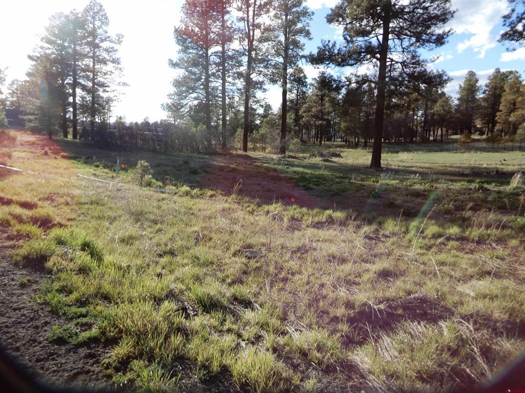 322 Harman Park Drive Pagosa Springs CO 81147