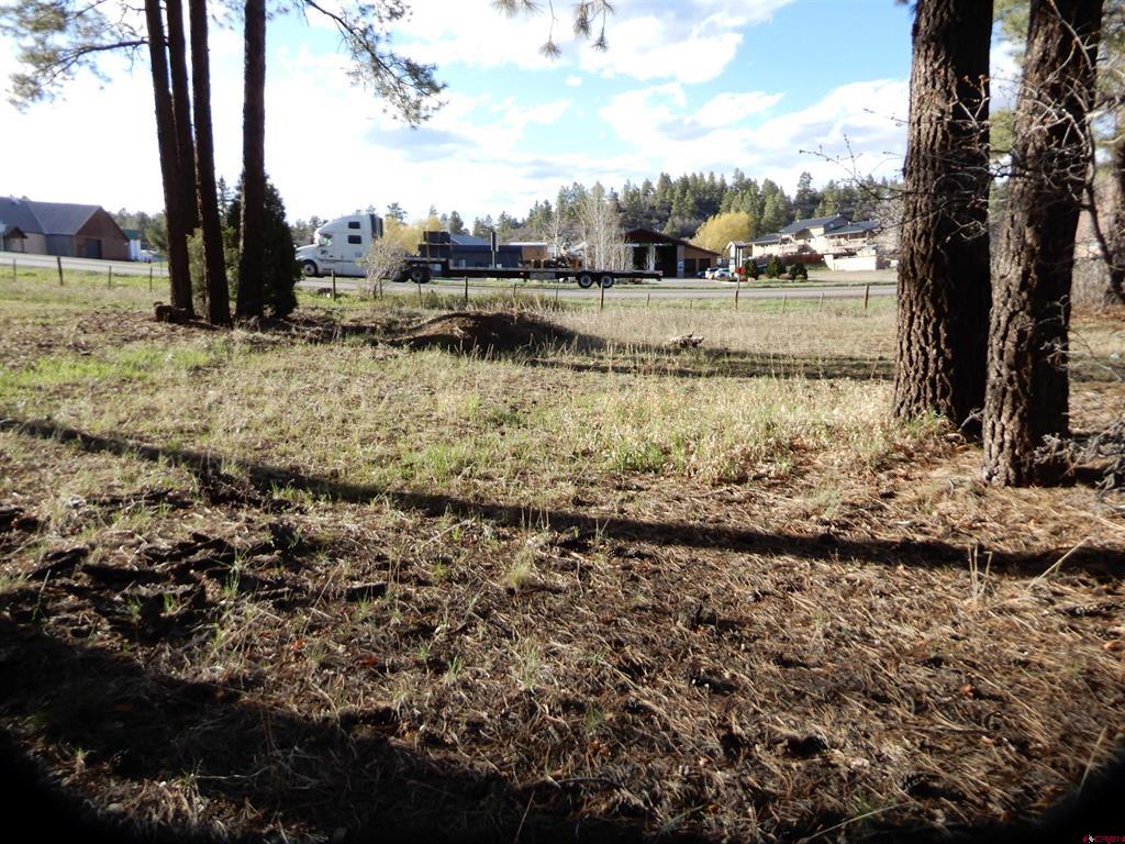 322 Harman Park Drive Pagosa Springs CO 81147