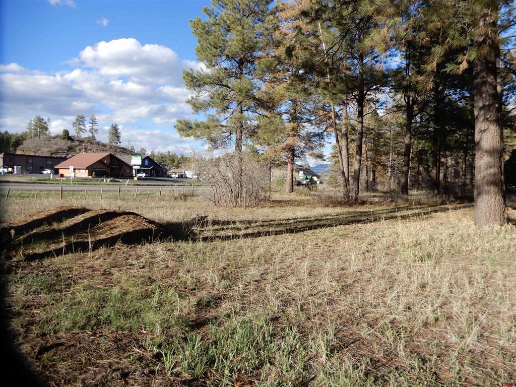 322 Harman Park Drive Pagosa Springs CO 81147