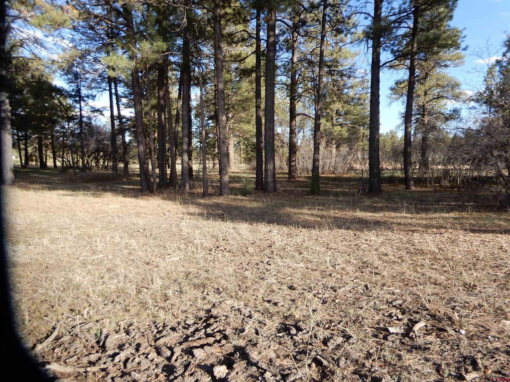 322 Harman Park Drive Pagosa Springs CO 81147