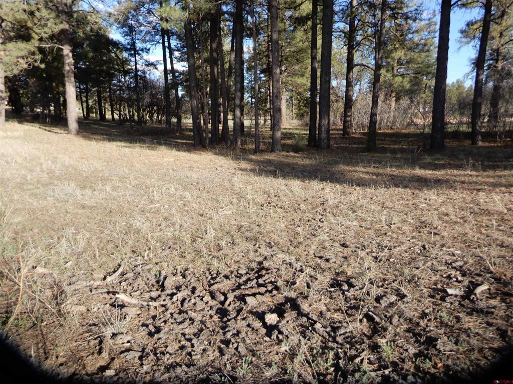 322 Harman Park Drive Pagosa Springs CO 81147