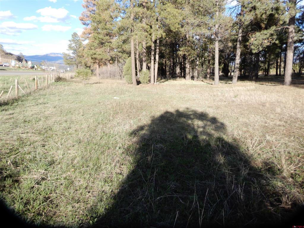 322 Harman Park Drive Pagosa Springs CO 81147