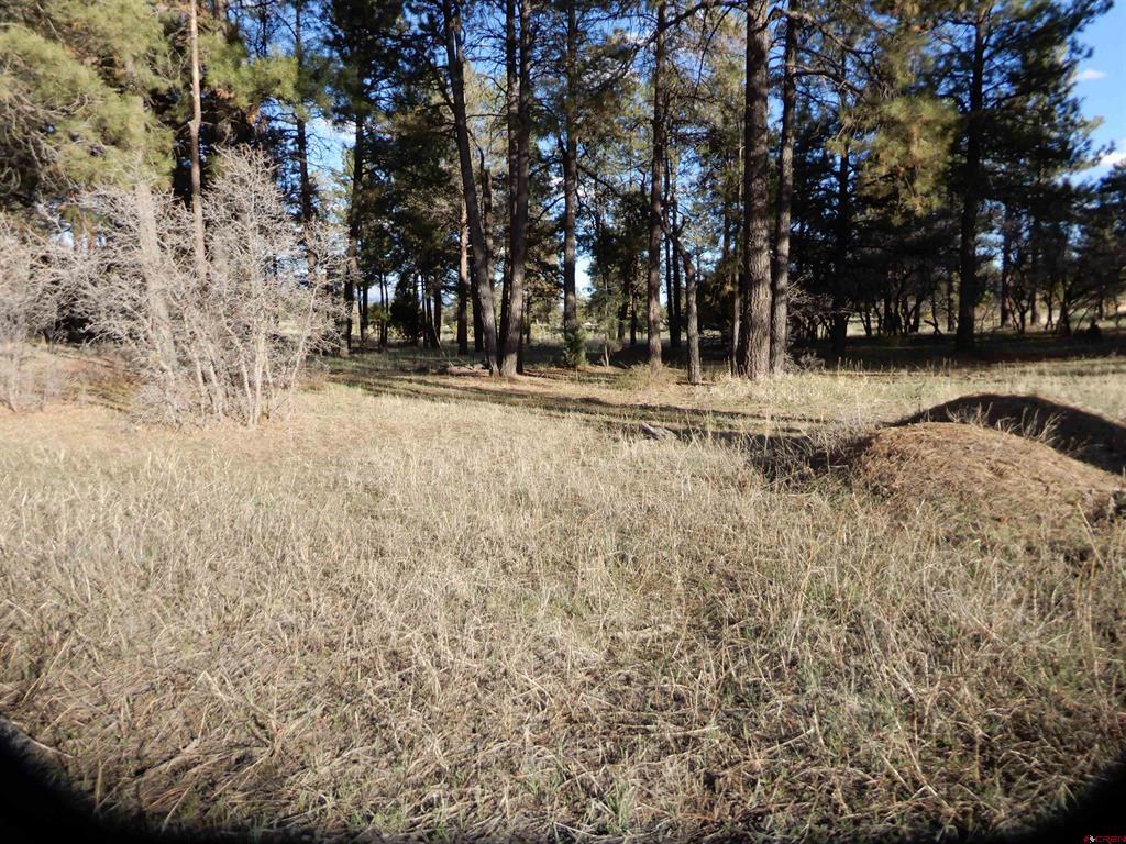 322 Harman Park Drive Pagosa Springs CO 81147