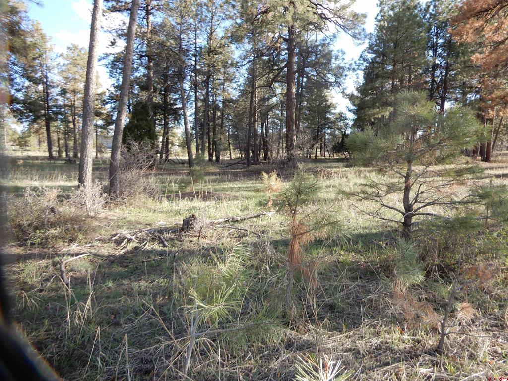 322 Harman Park Drive Pagosa Springs CO 81147