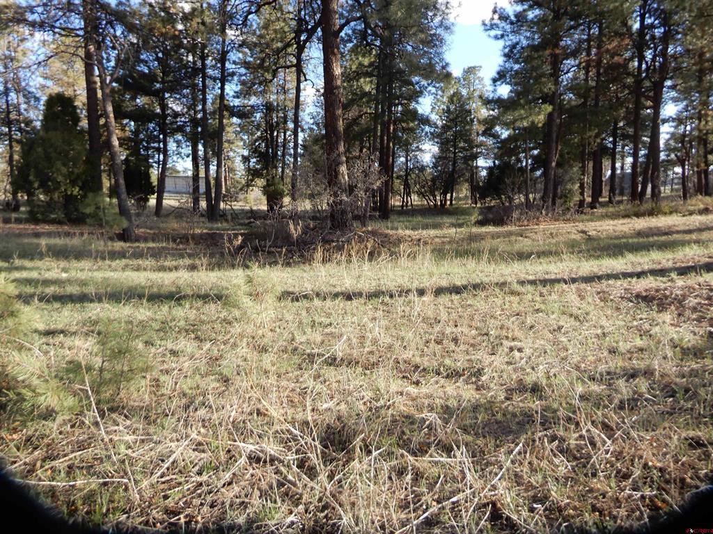 322 Harman Park Drive Pagosa Springs CO 81147