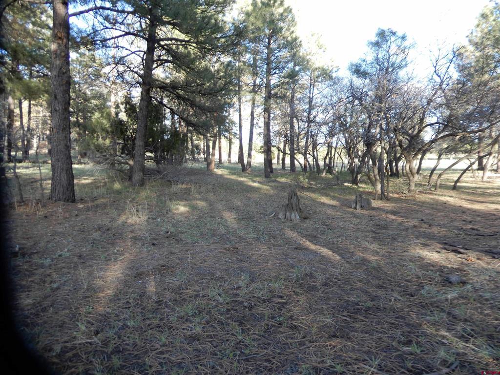 322 Harman Park Drive Pagosa Springs CO 81147