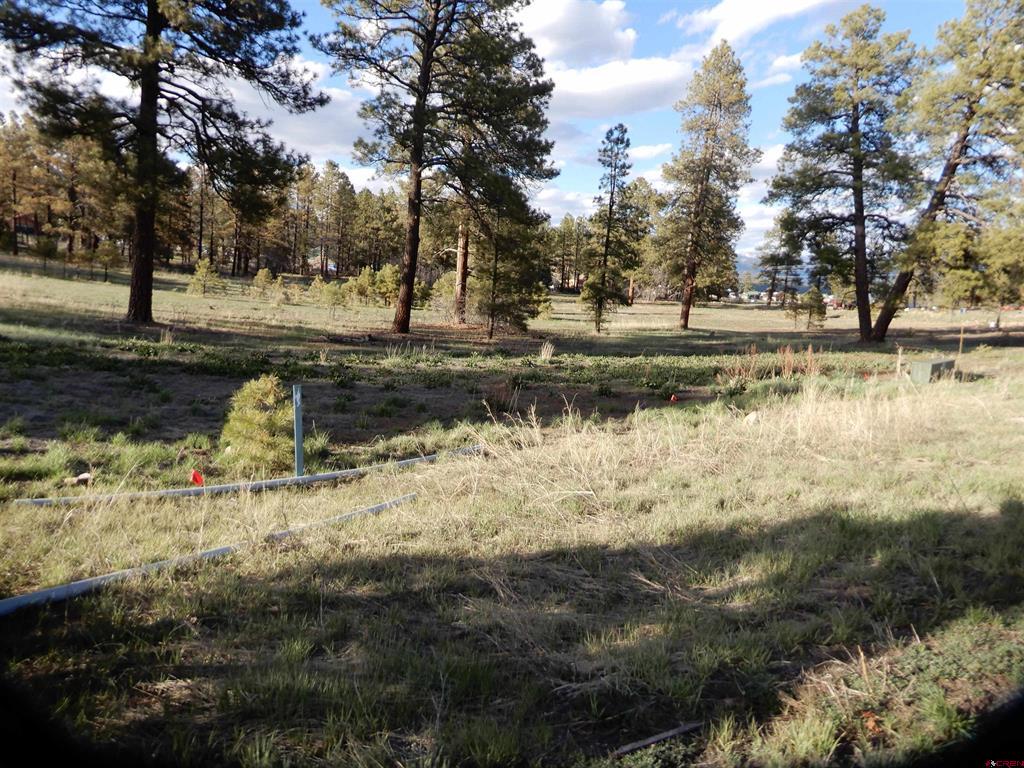 322 Harman Park Drive Pagosa Springs CO 81147