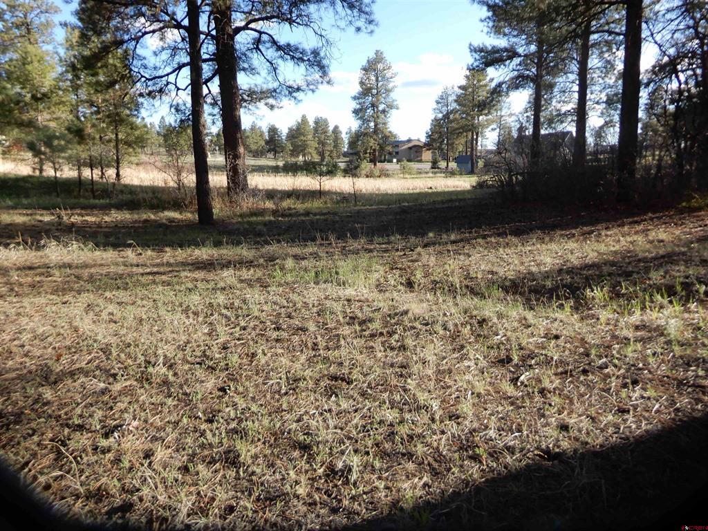 322 Harman Park Drive Pagosa Springs CO 81147