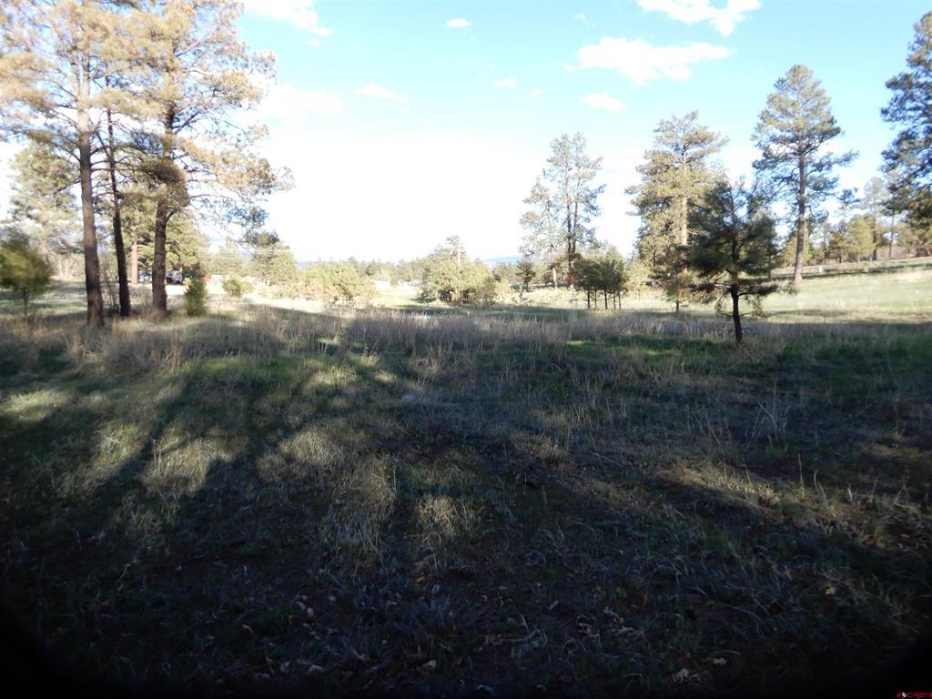 322 Harman Park Drive Pagosa Springs CO 81147
