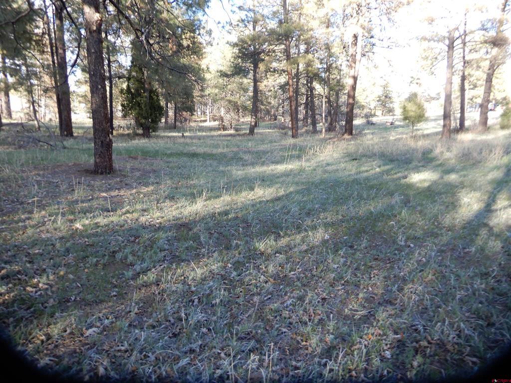 322 Harman Park Drive Pagosa Springs CO 81147