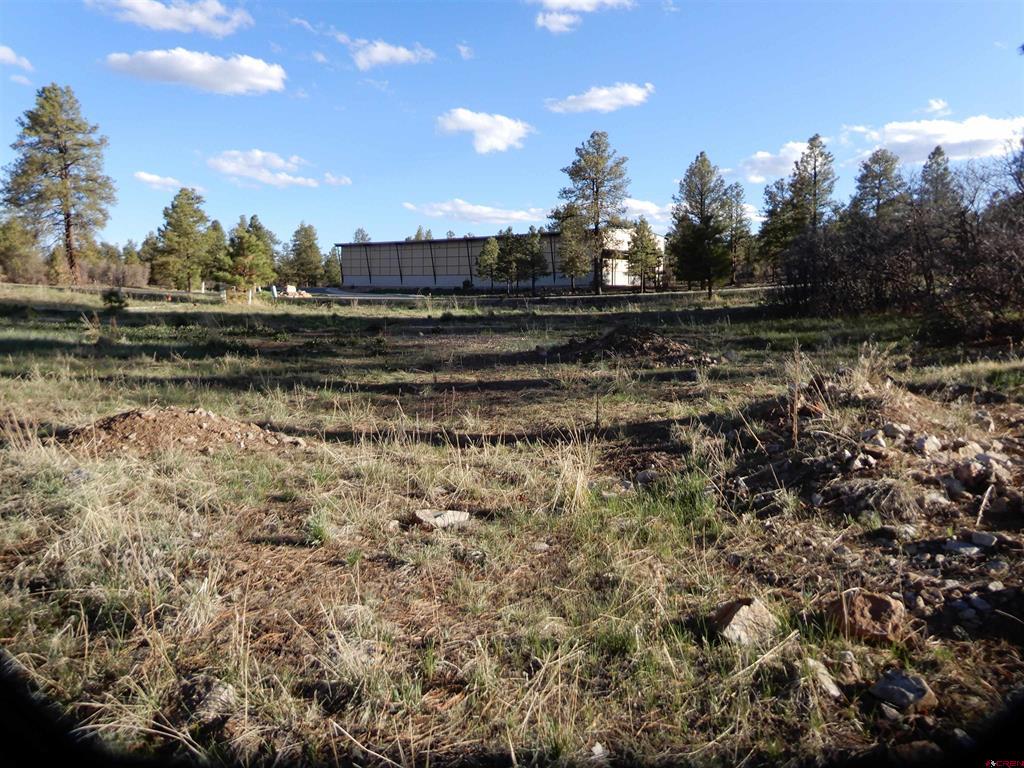 322 Harman Park Drive Pagosa Springs CO 81147