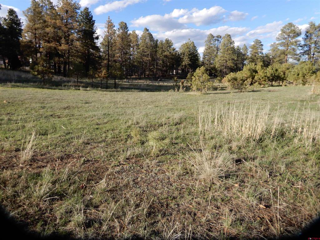 322 Harman Park Drive Pagosa Springs CO 81147