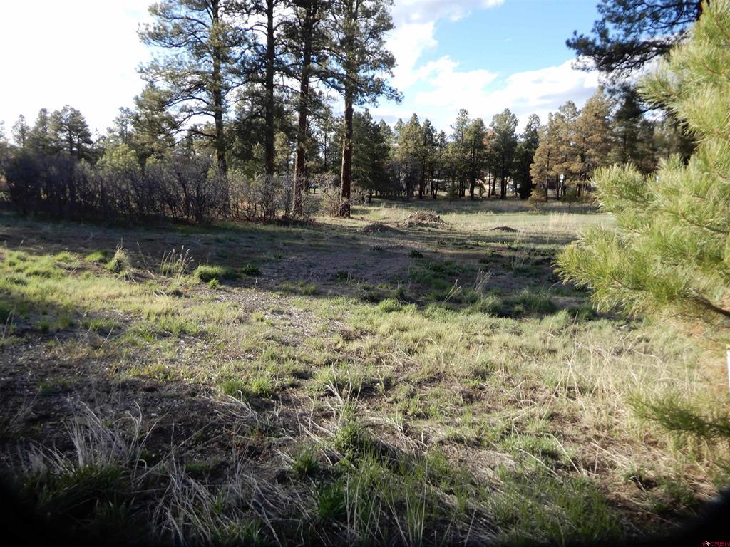 322 Harman Park Drive Pagosa Springs CO 81147