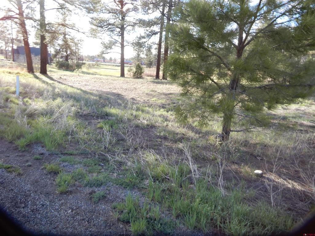 322 Harman Park Drive Pagosa Springs CO 81147