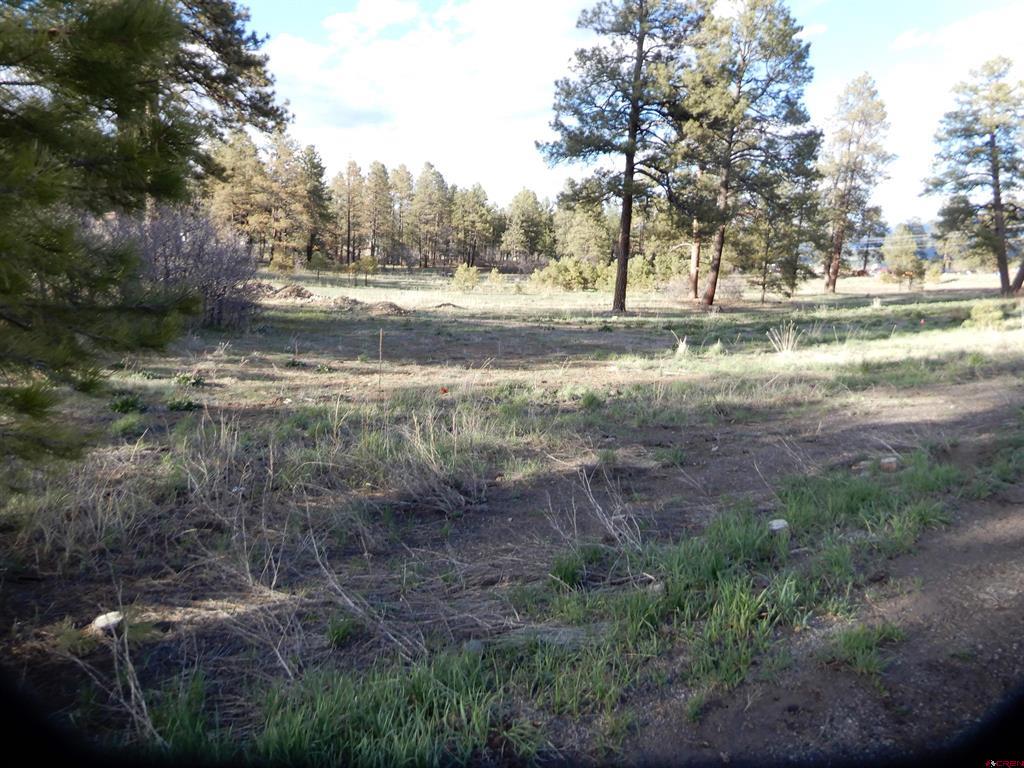 322 Harman Park Drive Pagosa Springs CO 81147