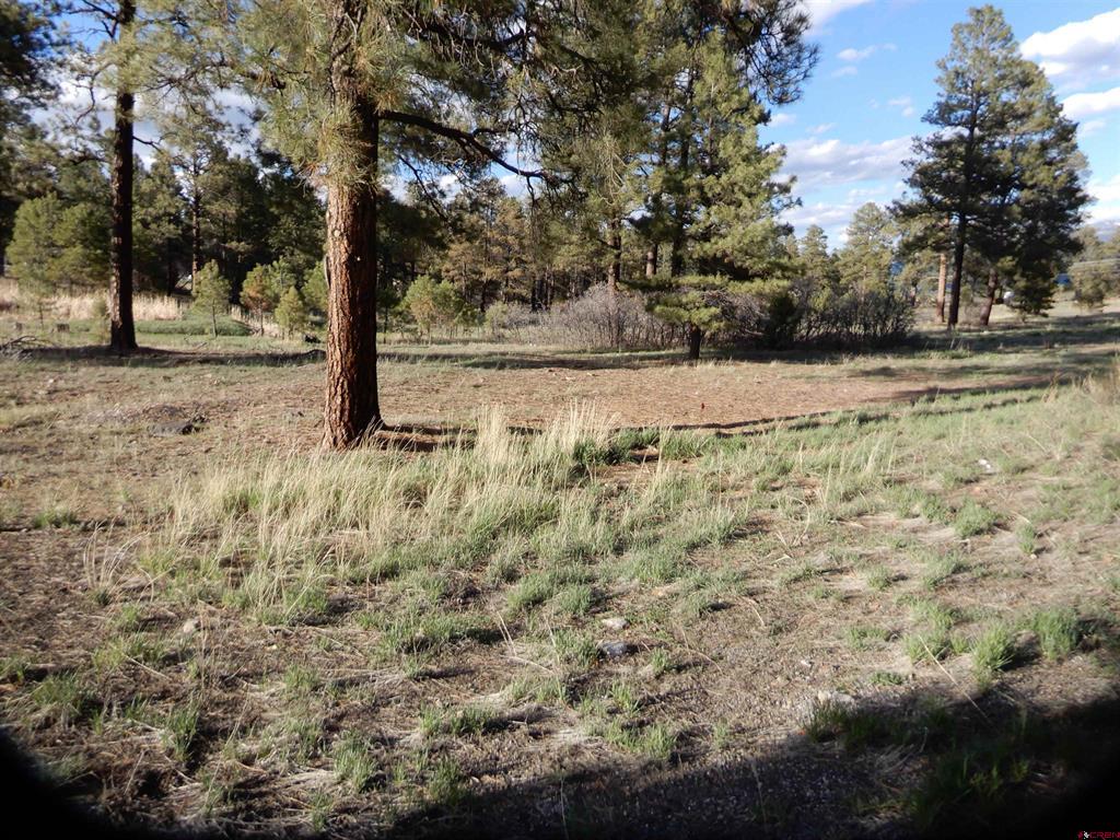 322 Harman Park Drive Pagosa Springs CO 81147