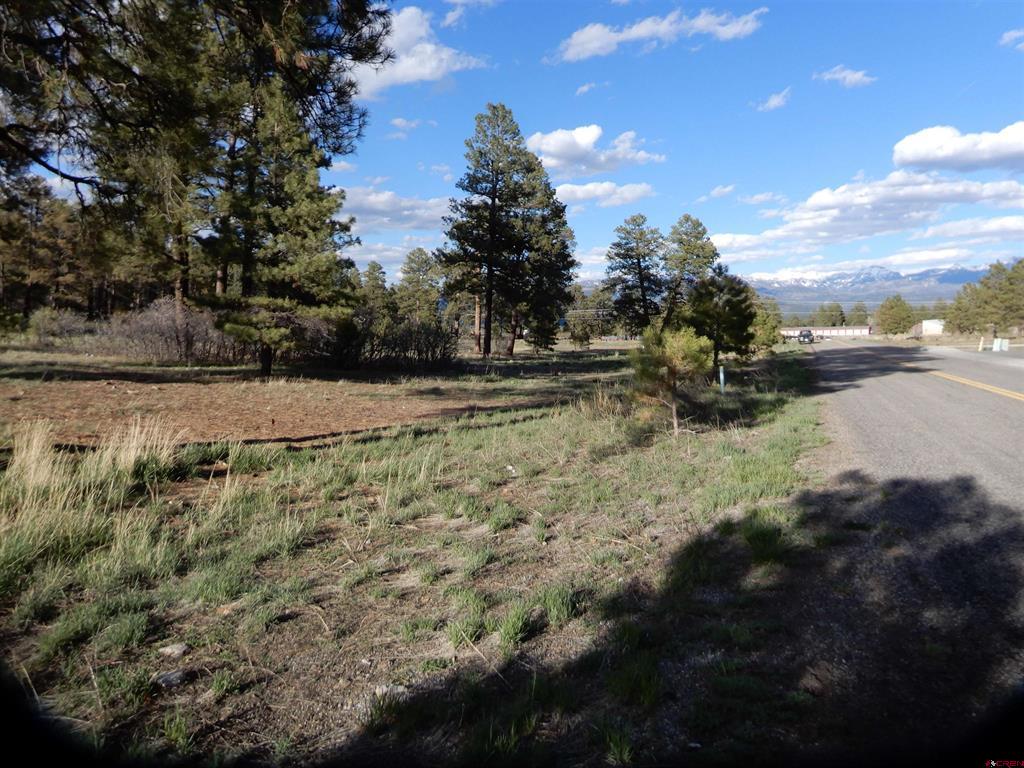 322 Harman Park Drive Pagosa Springs CO 81147