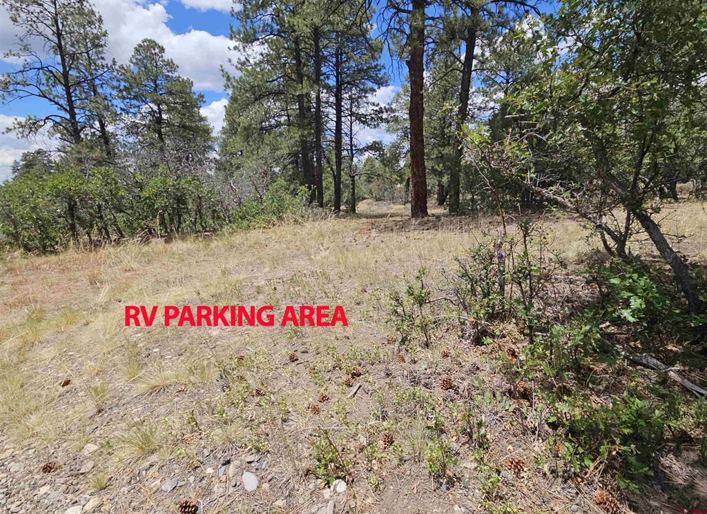 543 Justin's Road Pagosa Springs CO 81147
