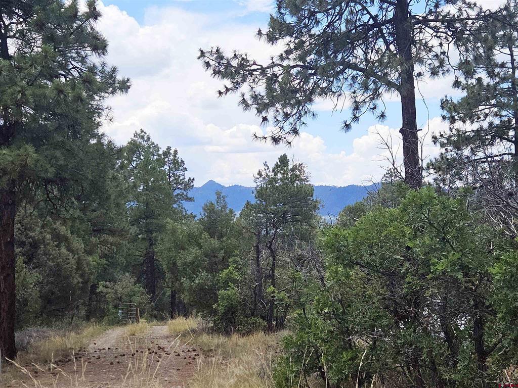 543 Justin's Road Pagosa Springs CO 81147