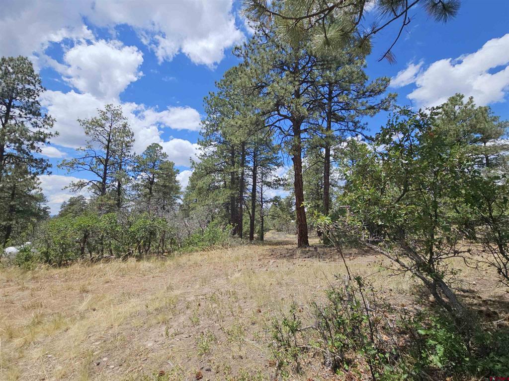 543 Justin's Road Pagosa Springs CO 81147