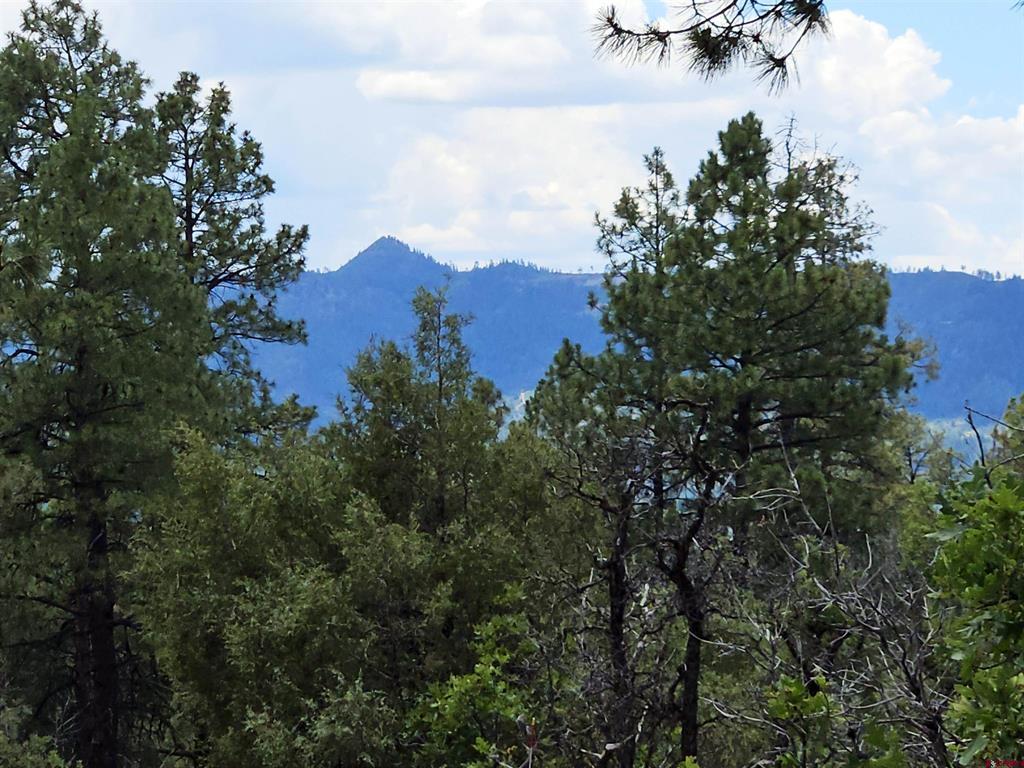 543 Justin's Road Pagosa Springs CO 81147