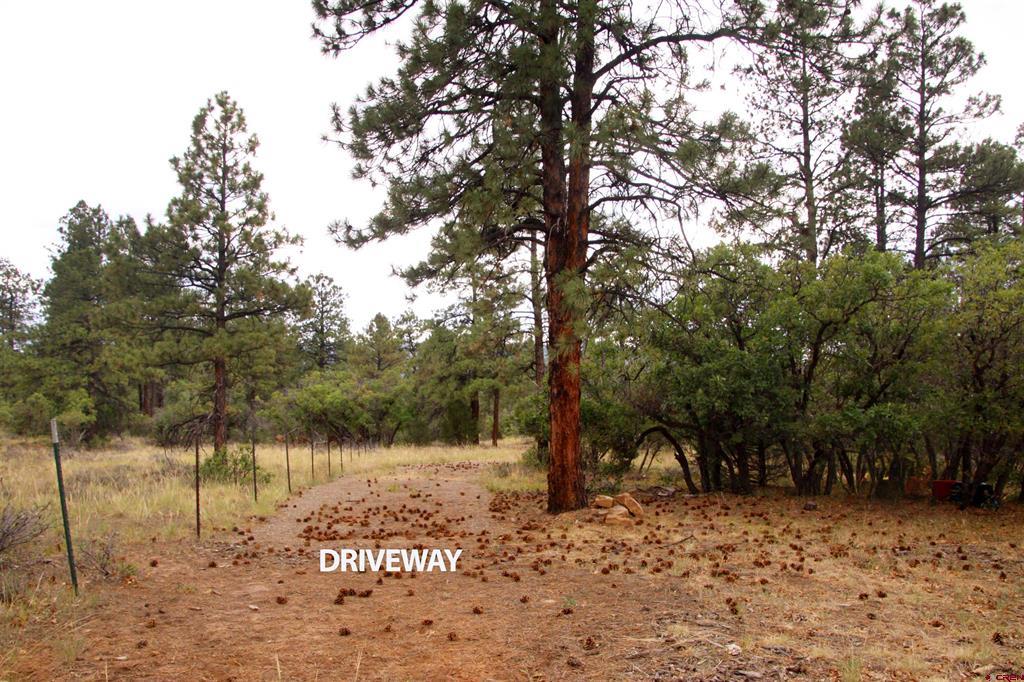 543 Justin's Road Pagosa Springs CO 81147