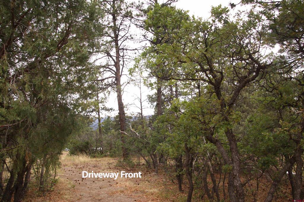 543 Justin's Road Pagosa Springs CO 81147